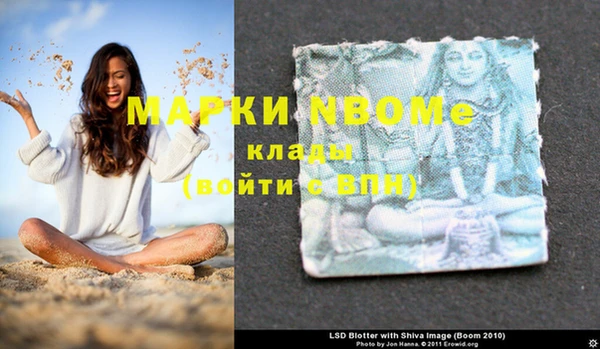 бошки Богородицк