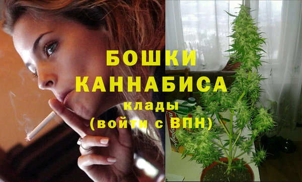 альфа пвп Бородино