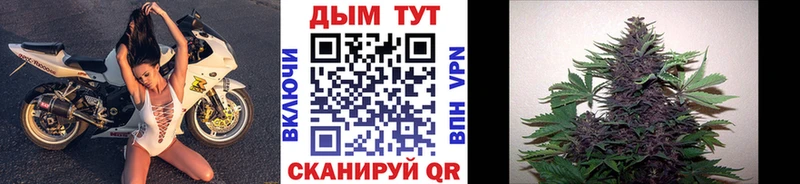 Шишки марихуана MAZAR  Кизилюрт 
